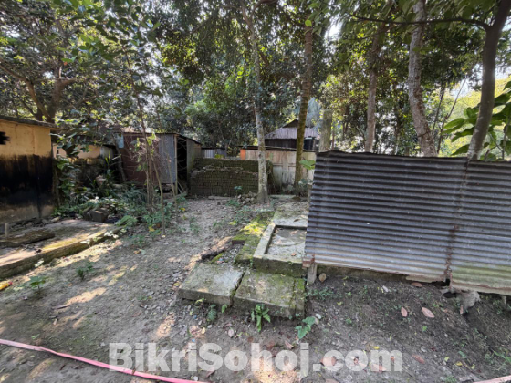 ১৩ শতক রেডি প্লট জমি